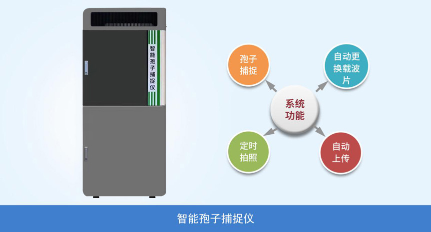 智能开云电脑版官网入口网页